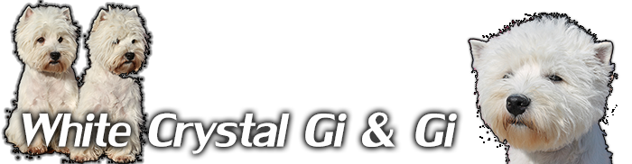 White Crystal Gi&Gi