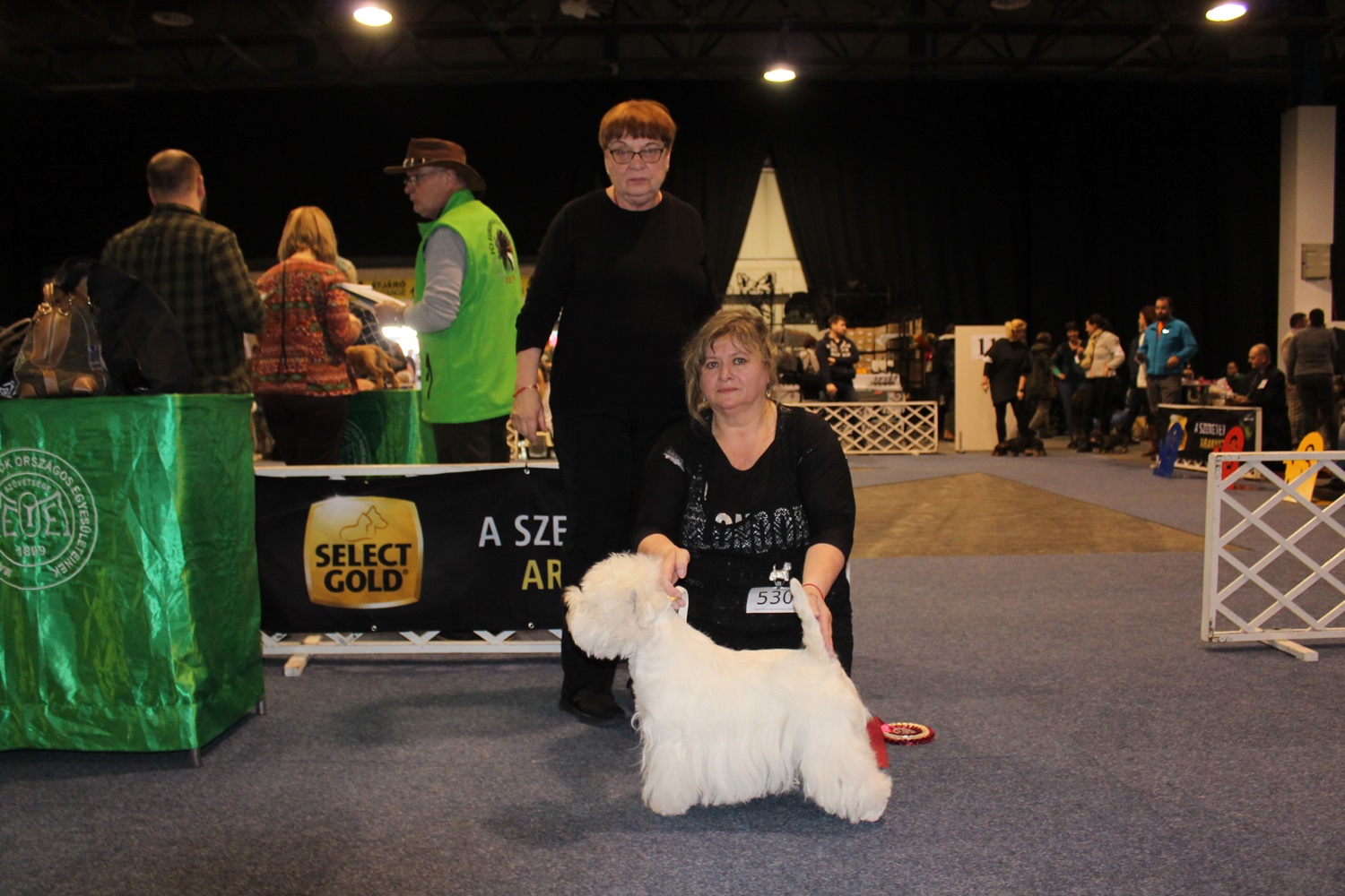 FeHoVa Winter Dog Show - 13.02.2020, Budapest, Hungary