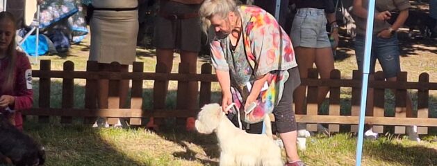 Dogdestival Veľká Ida