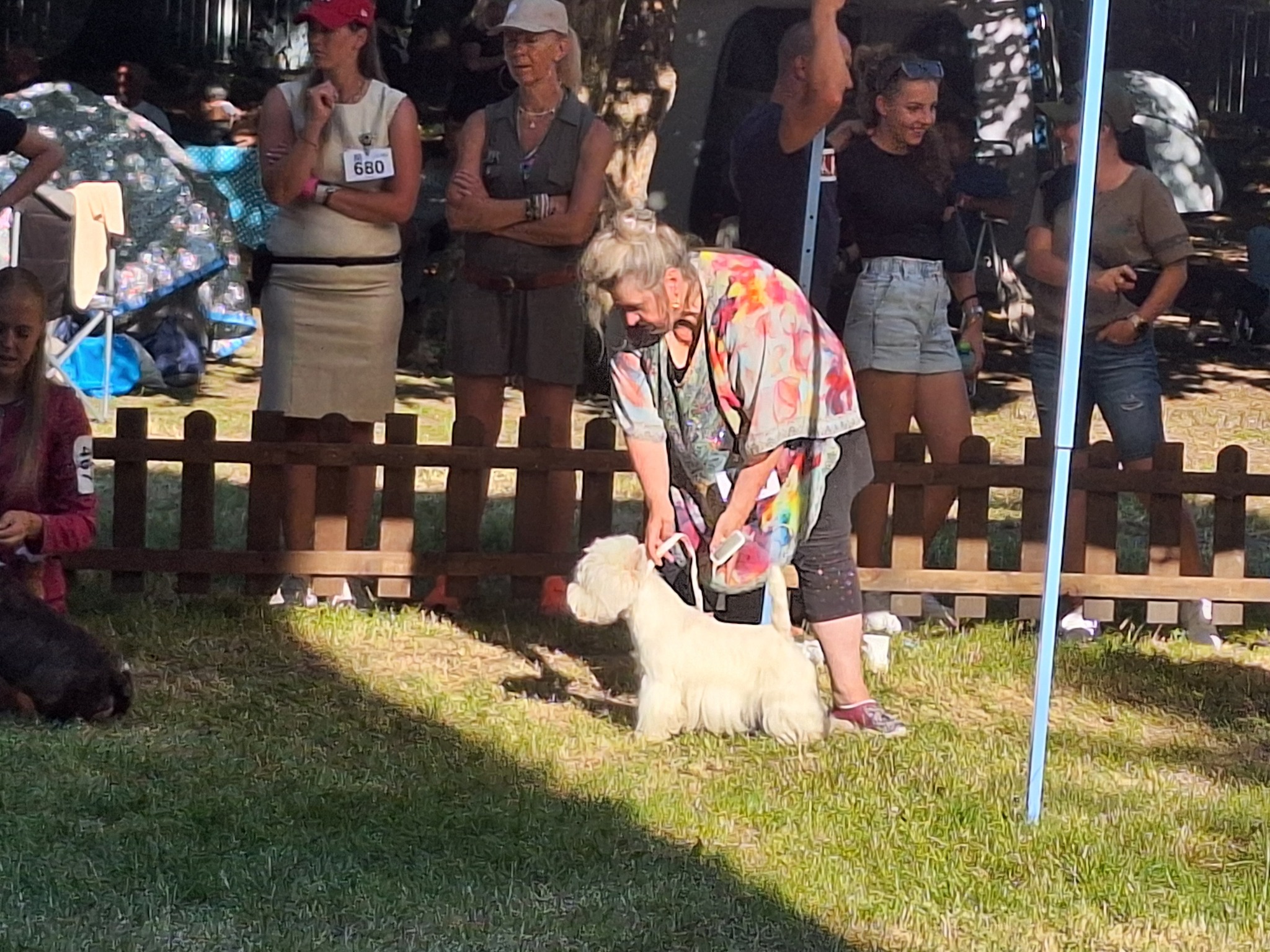 Dogdestival Veľká Ida